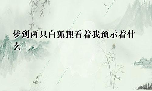 梦到两只白狐狸看着我预示着什么
