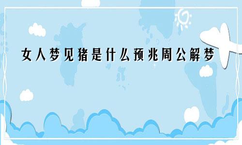 女人梦见猪是什么预兆周公解梦