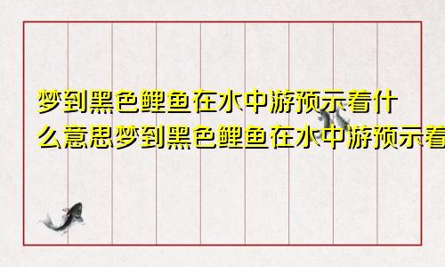 梦到黑色鲤鱼在水中游预示着什么意思梦到黑色鲤鱼在水中游预示着什么呢