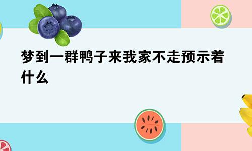 梦到一群鸭子来我家不走预示着什么