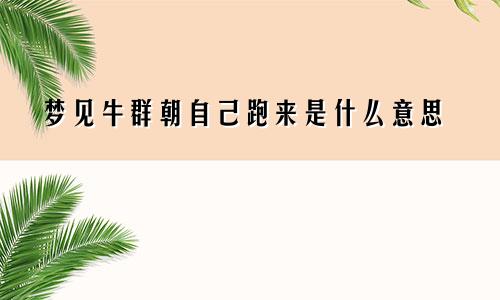 梦见牛群朝自己跑来是什么意思