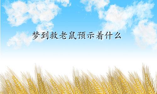 梦到救老鼠预示着什么