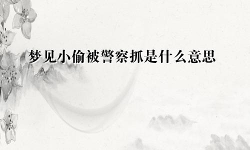 梦见小偷被警察抓是什么意思
