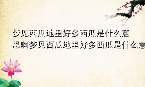 梦见西瓜地里好多西瓜是什么意思啊梦见西瓜地里好多西瓜是什么意思呀