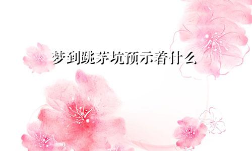 梦到跳茅坑预示着什么