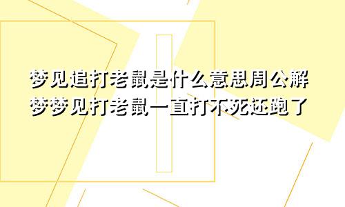 梦见追打老鼠是什么意思周公解梦梦见打老鼠一直打不死还跑了