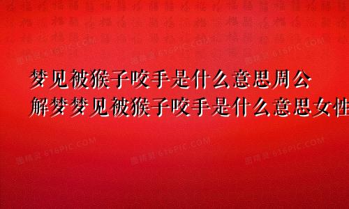 梦见被猴子咬手是什么意思周公解梦梦见被猴子咬手是什么意思女性