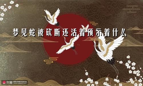 梦见蛇被砍断还活着预示着什么