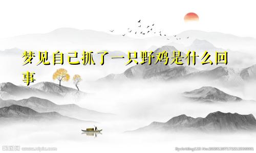梦见自己抓了一只野鸡是什么回事