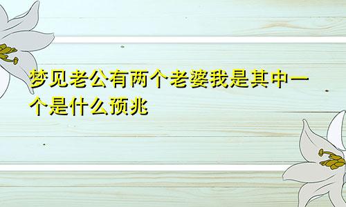 梦见老公有两个老婆我是其中一个是什么预兆