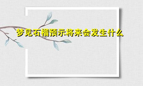 梦见石榴预示将来会发生什么