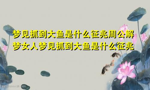 梦见抓到大鱼是什么征兆周公解梦女人梦见抓到大鱼是什么征兆