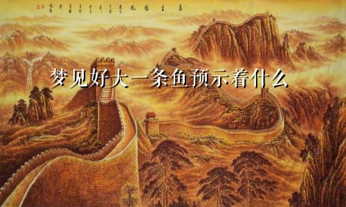 梦见好大一条鱼预示着什么