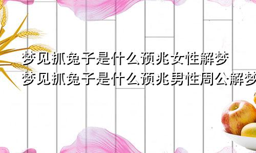 梦见抓兔子是什么预兆女性解梦梦见抓兔子是什么预兆男性周公解梦