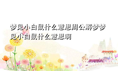 梦见小白鼠什么意思周公解梦梦见小白鼠什么意思啊