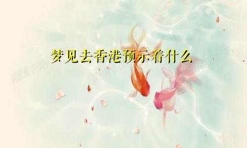 梦见去香港预示着什么