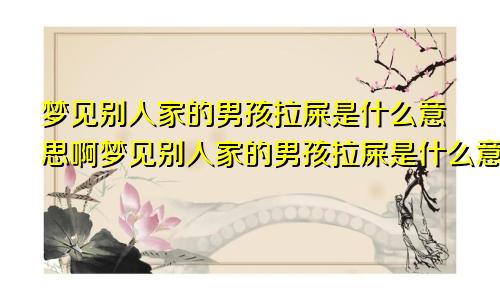 梦见别人家的男孩拉屎是什么意思啊梦见别人家的男孩拉屎是什么意思呀