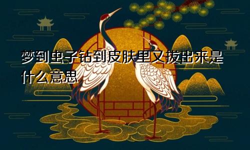 梦到虫子钻到皮肤里又拔出来是什么意思