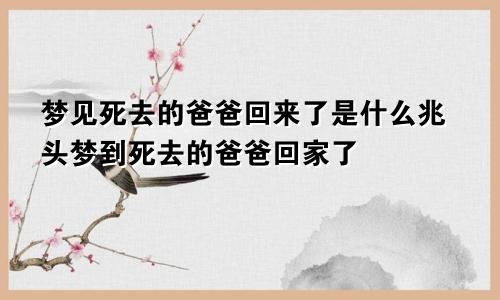 梦见死去的爸爸回来了是什么兆头梦到死去的爸爸回家了