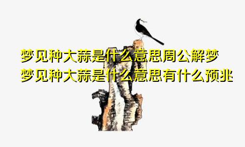 梦见种大蒜是什么意思周公解梦梦见种大蒜是什么意思有什么预兆