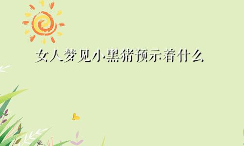 女人梦见小黑猪预示着什么
