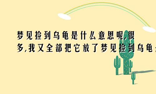 梦见捡到乌龟是什么意思呢,很多,我又全部把它放了梦见捡到乌龟是什么意思解梦