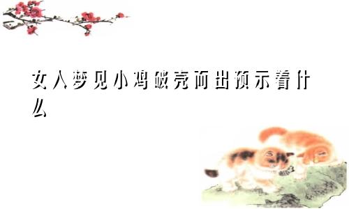 女人梦见小鸡破壳而出预示着什么