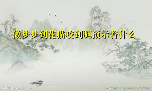 做梦梦到花猫咬到腿预示着什么