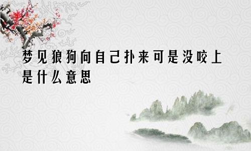 梦见狼狗向自己扑来可是没咬上是什么意思