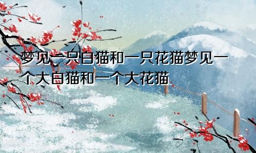 梦见一只白猫和一只花猫梦见一个大白猫和一个大花猫