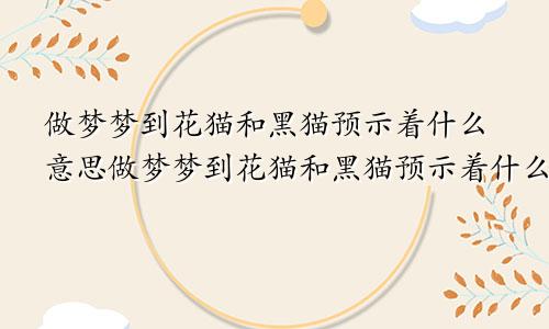 做梦梦到花猫和黑猫预示着什么意思做梦梦到花猫和黑猫预示着什么呢