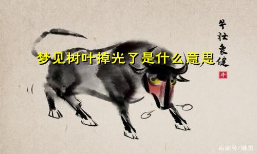 梦见树叶掉光了是什么意思