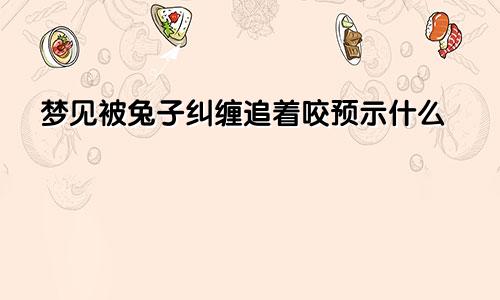 梦见被兔子纠缠追着咬预示什么