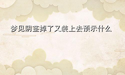 梦见阴茎掉了又装上去预示什么