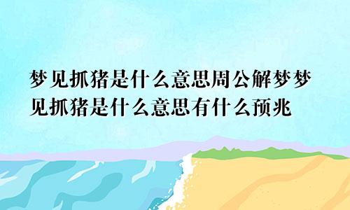 梦见抓猪是什么意思周公解梦梦见抓猪是什么意思有什么预兆