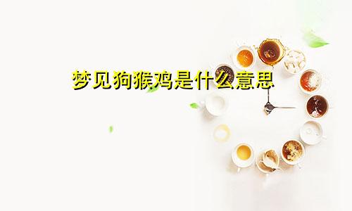 梦见狗猴鸡是什么意思