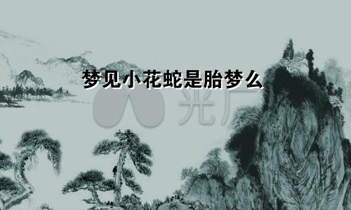 梦见小花蛇是胎梦么