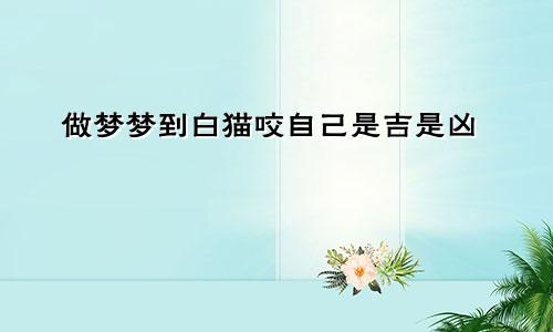 做梦梦到白猫咬自己是吉是凶