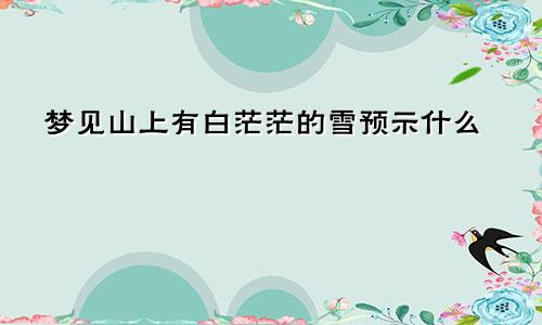 梦见山上有白茫茫的雪预示什么