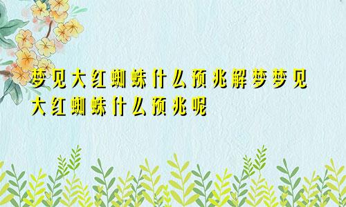 梦见大红蜘蛛什么预兆解梦梦见大红蜘蛛什么预兆呢
