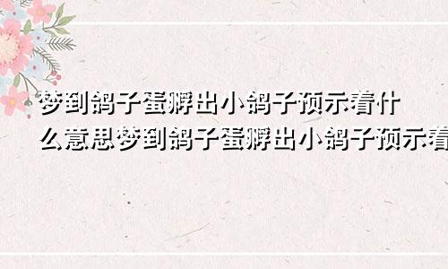梦到鸽子蛋孵出小鸽子预示着什么意思梦到鸽子蛋孵出小鸽子预示着什么呢