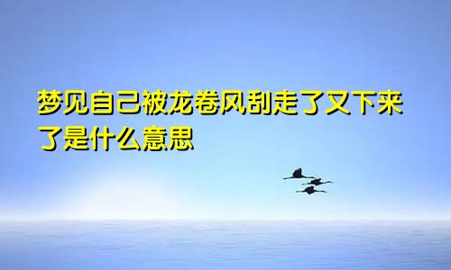 梦见自己被龙卷风刮走了又下来了是什么意思