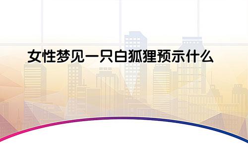 女性梦见一只白狐狸预示什么