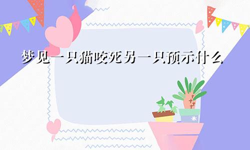 梦见一只猫咬死另一只预示什么