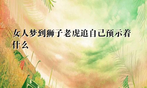 女人梦到狮子老虎追自己预示着什么