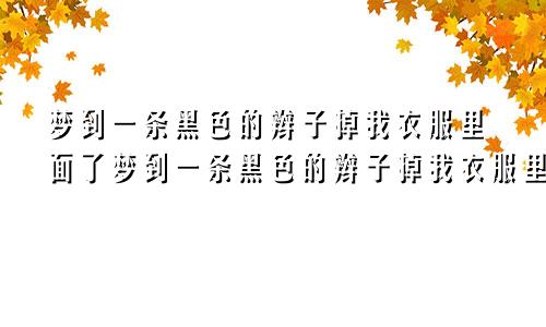 梦到一条黑色的辫子掉我衣服里面了梦到一条黑色的辫子掉我衣服里面什么意思