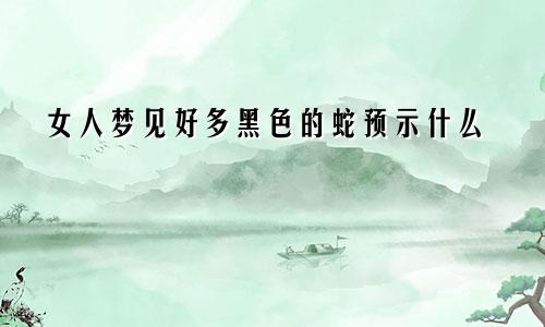 女人梦见好多黑色的蛇预示什么