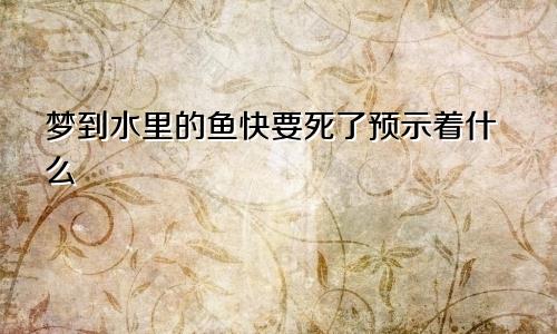 梦到水里的鱼快要死了预示着什么