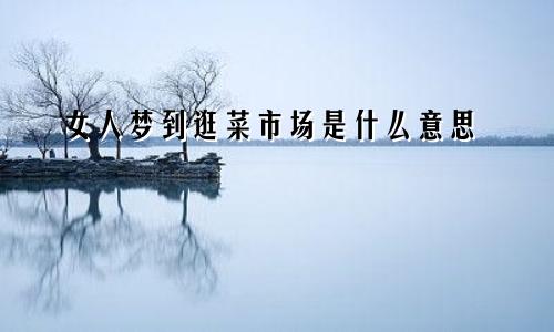女人梦到逛菜市场是什么意思