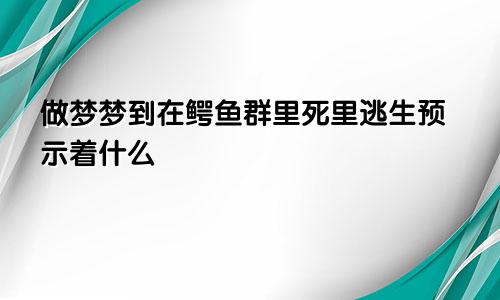 做梦梦到在鳄鱼群里死里逃生预示着什么